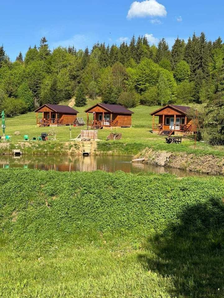Cabane Areama Neagra Извору Мурешулуй Экстерьер фото